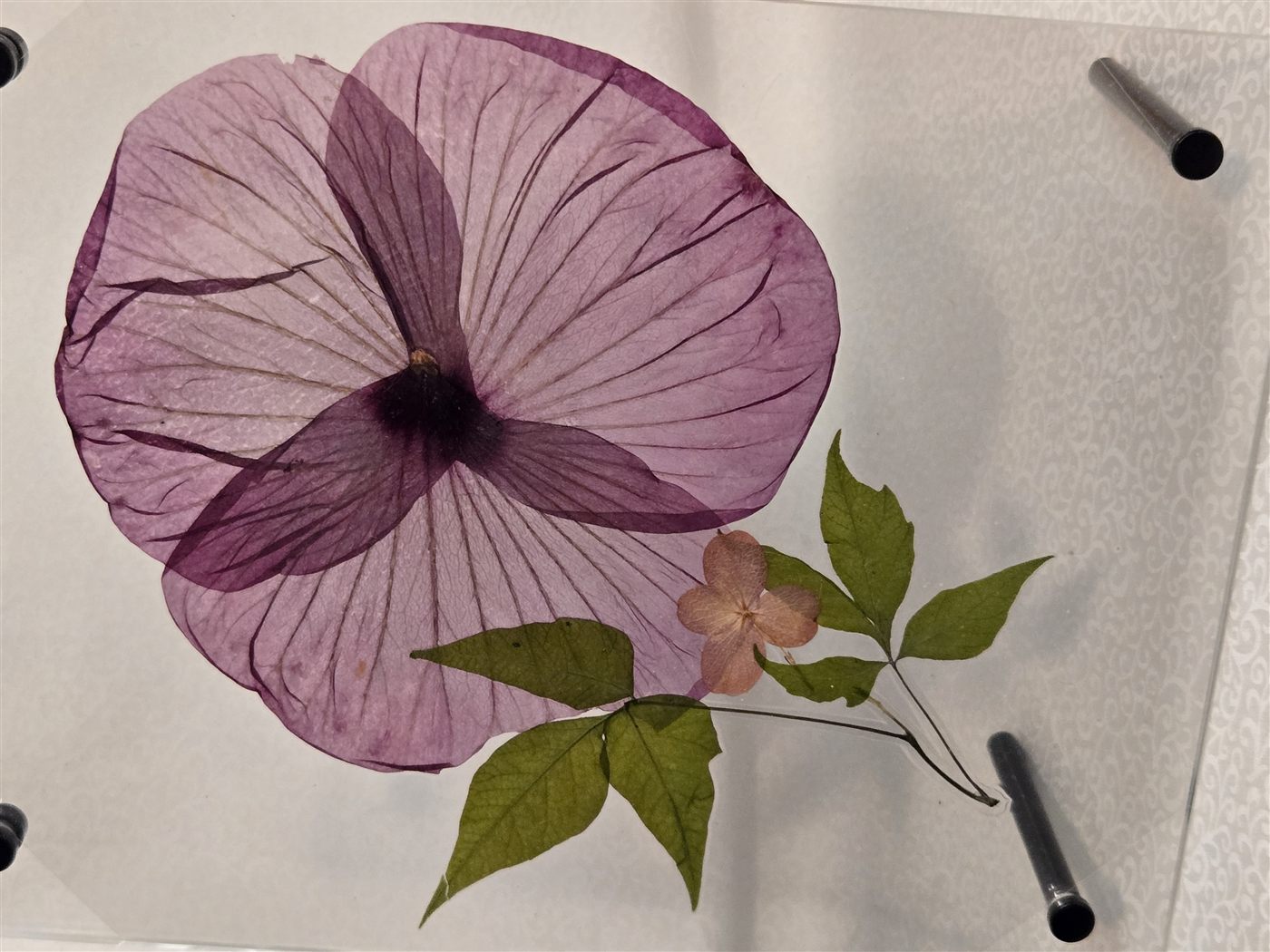 Petal and Leaf Piece, laminated botanical artwork by Keri