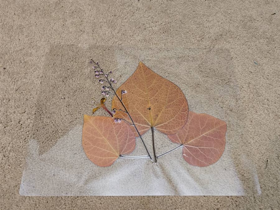 Statement Botanicals by Keri