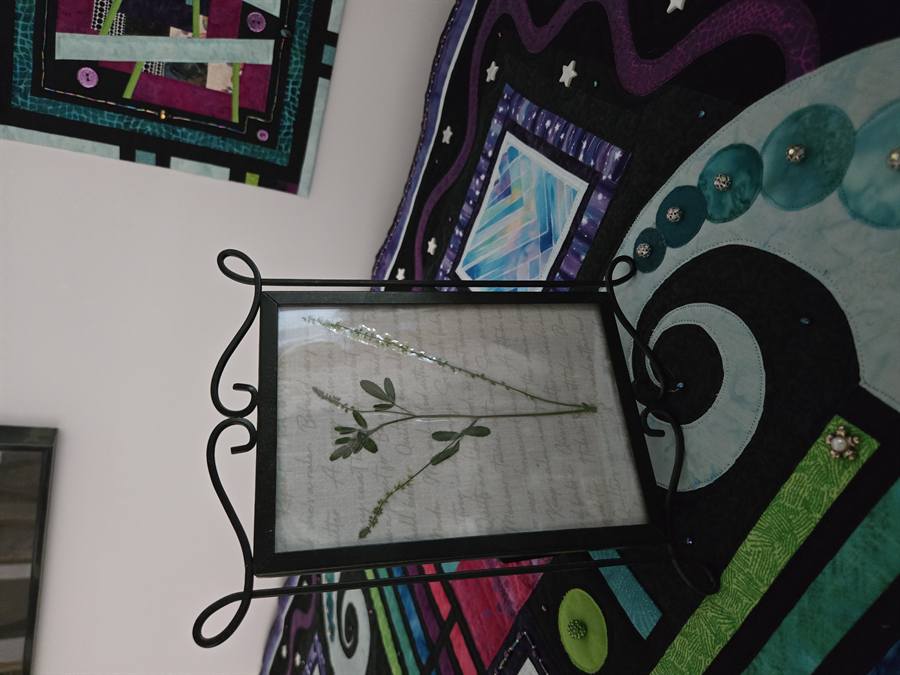 Botanical Acrylic Piece 0022, laminated botanical artwork by Keri