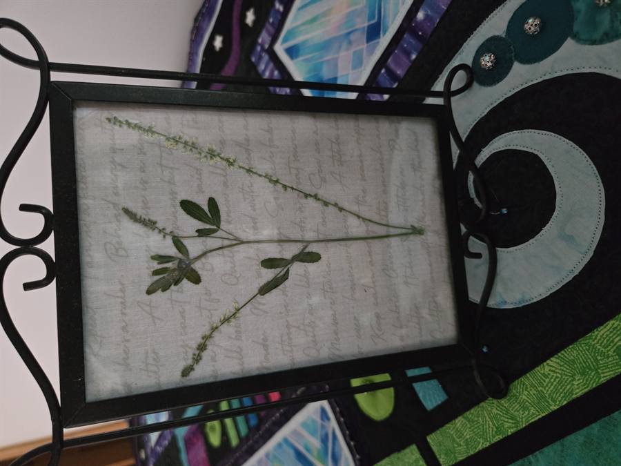 Botanical Acrylic Piece 0023, laminated botanical artwork by Keri