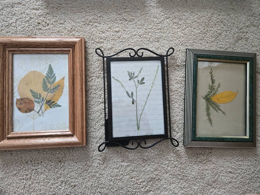 Botanical Acrylic Piece 0026, laminated botanical artwork by Keri