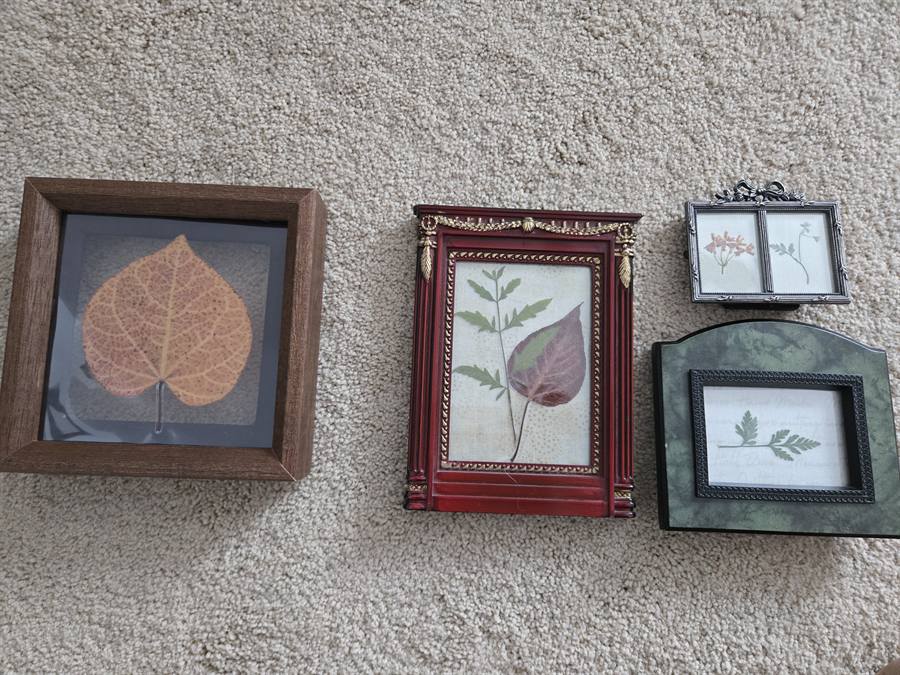 Botanical Acrylic Piece 0027, laminated botanical artwork by Keri