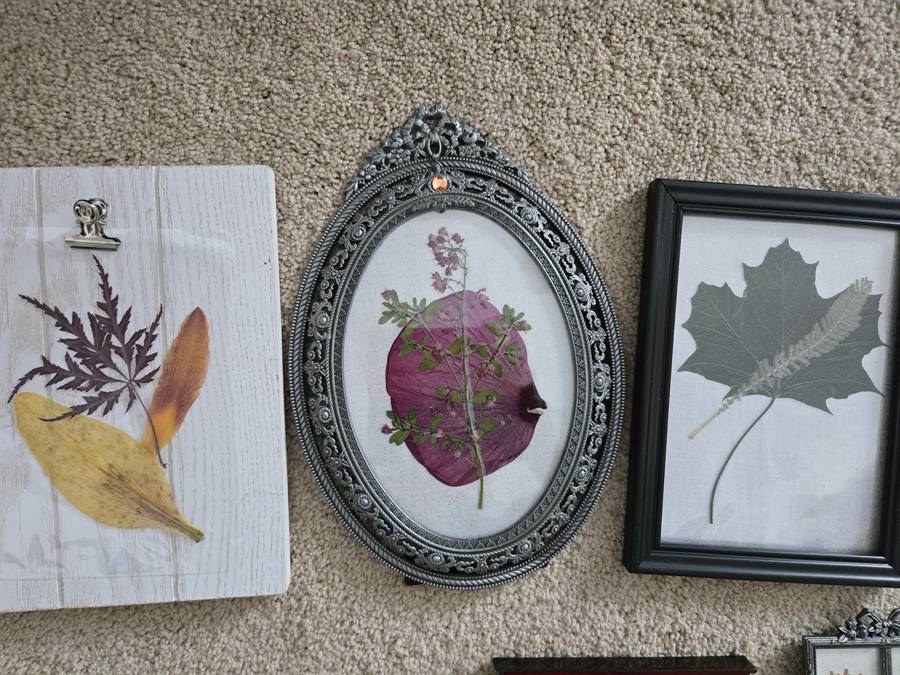 Botanical Acrylic Piece 0028, laminated botanical artwork by Keri