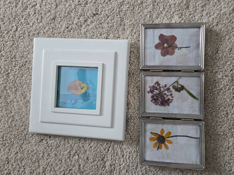 Botanical Acrylic Piece 0029, laminated botanical artwork by Keri