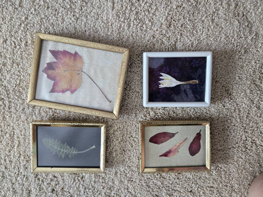 Botanical Acrylic Piece 0030, laminated botanical artwork by Keri