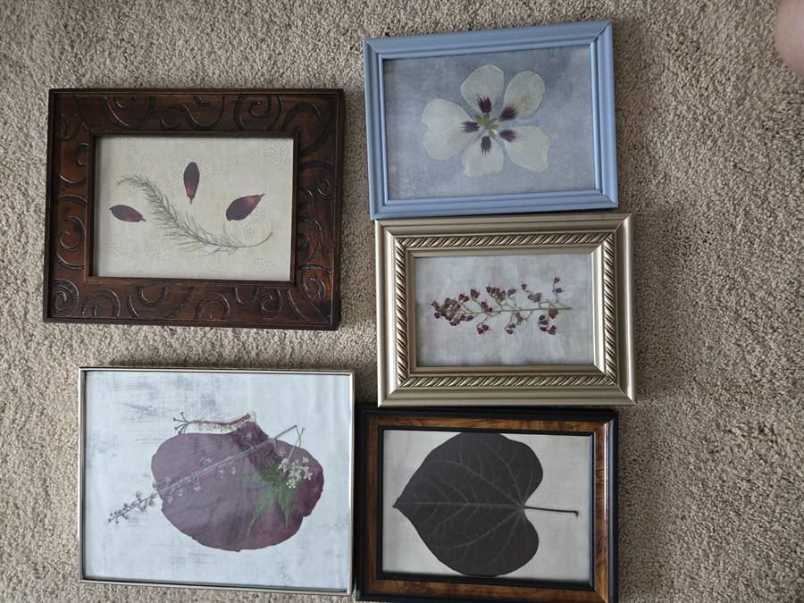 Botanical Acrylic Piece 0031, laminated botanical artwork by Keri