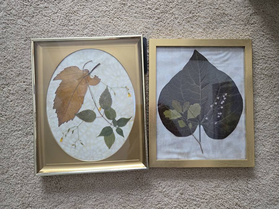 Botanical Acrylic Piece 0032, laminated botanical artwork by Keri