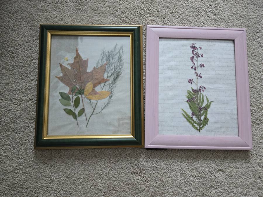 Botanical Acrylic Piece 0033, laminated botanical artwork by Keri