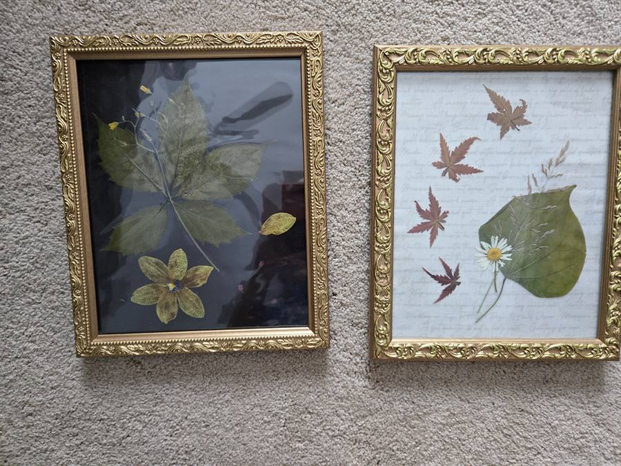 Botanical Acrylic Piece 0034, laminated botanical artwork by Keri