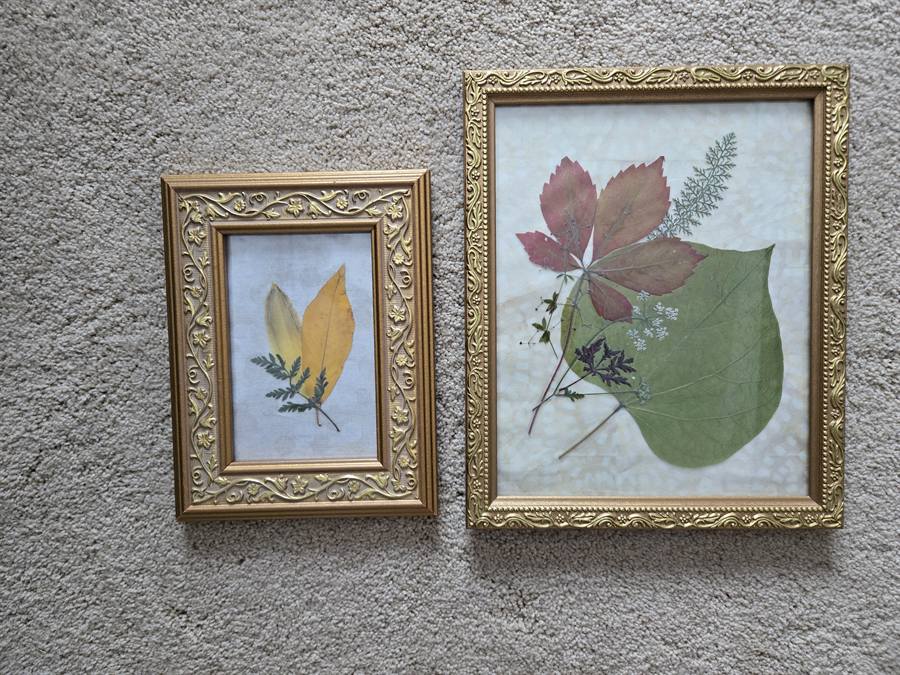Botanical Acrylic Piece 0035, laminated botanical artwork by Keri
