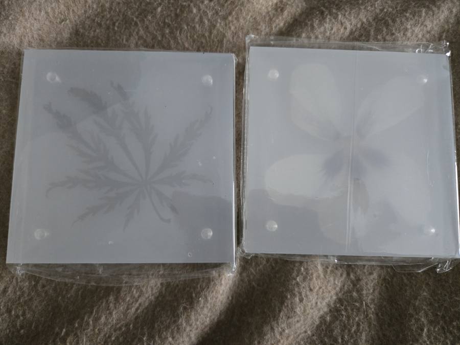 Honey Locust pressed in botanical artwork by Keri