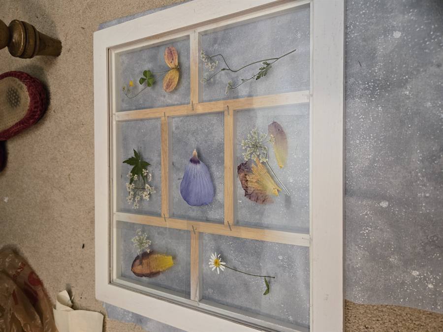 Grass Seed Heads pressed in botanical artwork by Keri