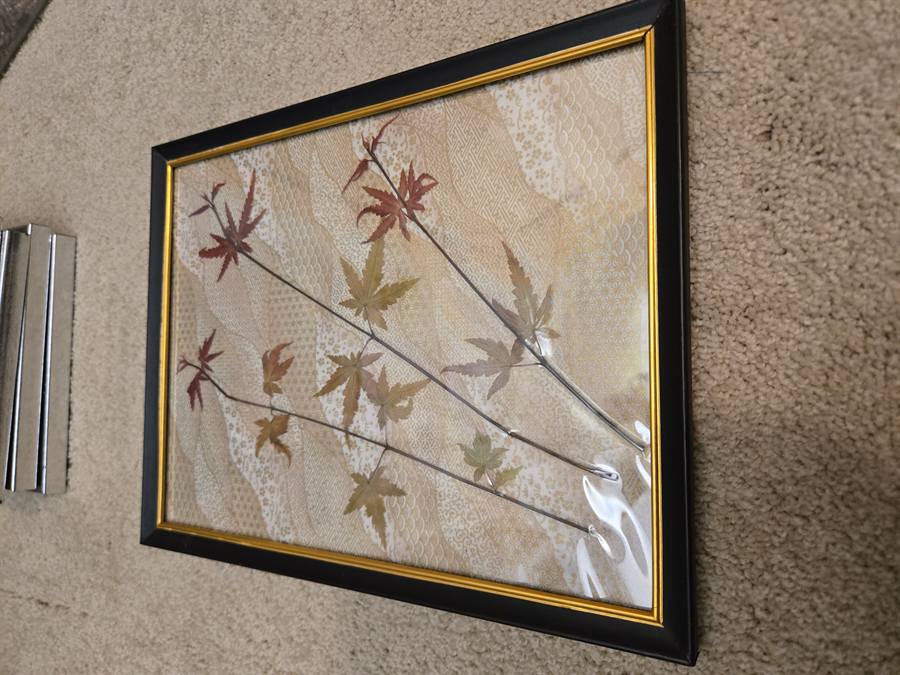 Virginia Creeper pressed in botanical artwork by Keri
