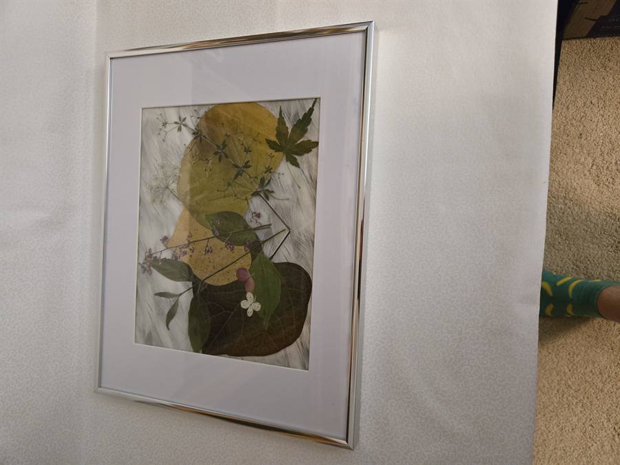 Pressed Petals pressed in botanical artwork by Keri