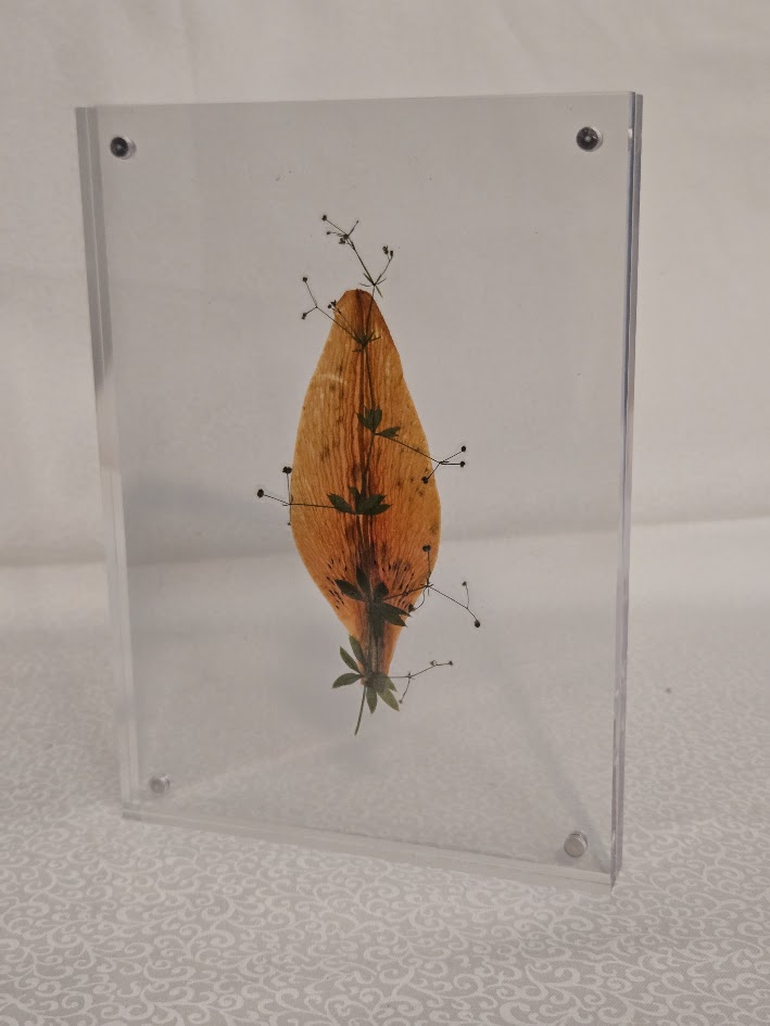 Lilys Chemistry Set, full view