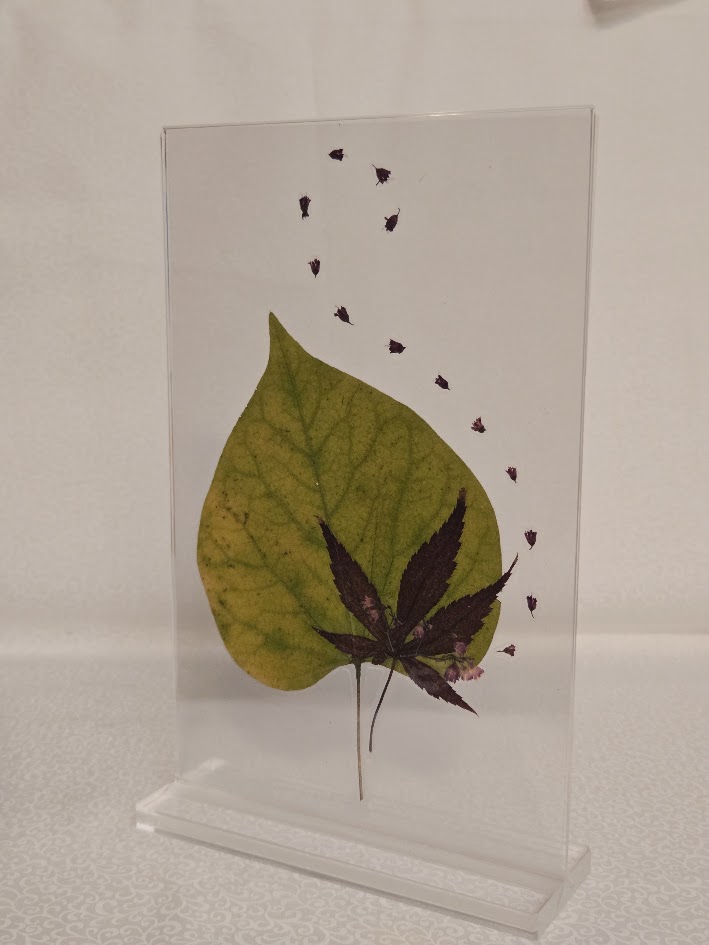 Party Favor, full view