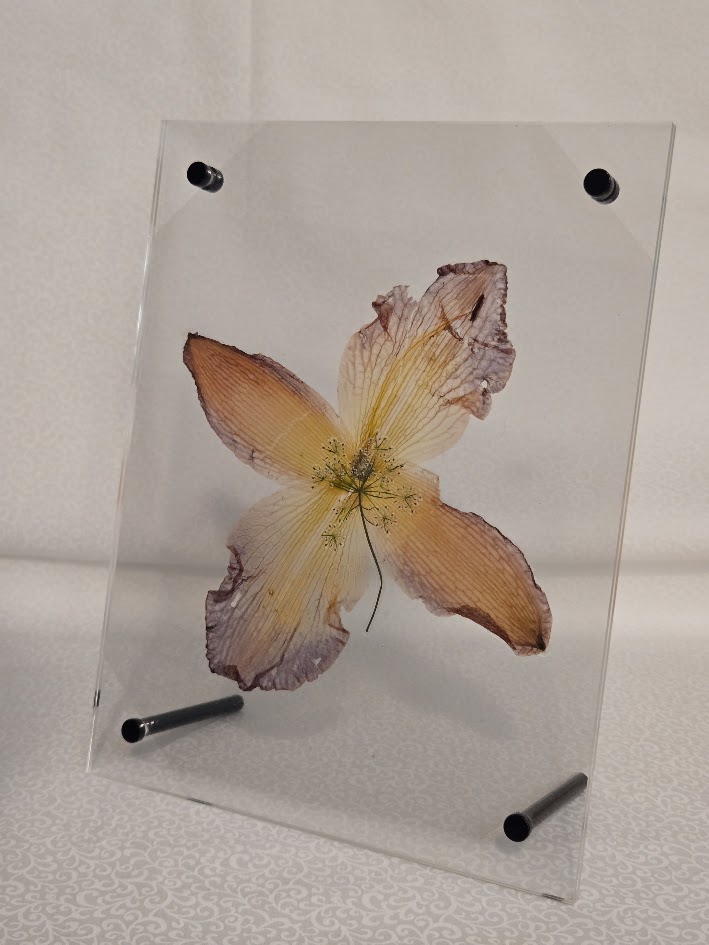 The Lily Crown, full view