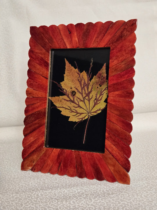 Ember Leaf: preserved leaf, archival lamination, hand-finished frame by FLORIS by Keri