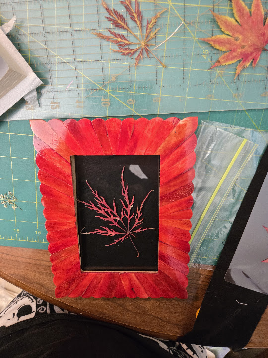 Scarlet Branch: preserved botanical, archival lamination, painted frame by FLORIS by Keri