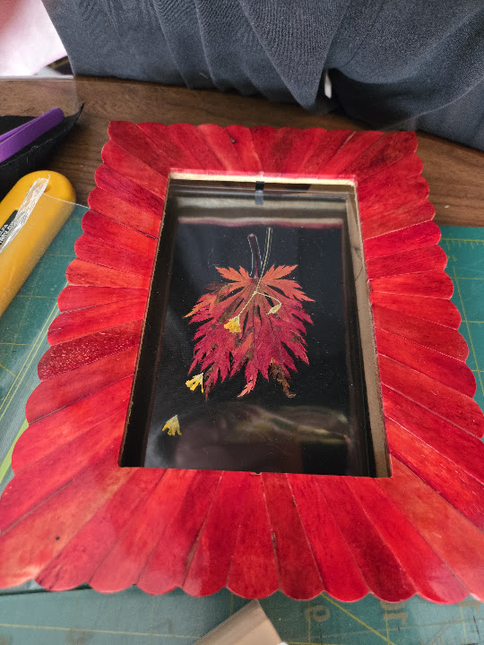Crimson Study: pressed foliage, archival lamination, painted frame by FLORIS by Keri